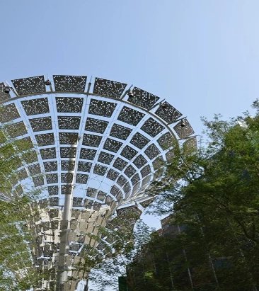 saher-suthriwala-B9s.jpg1